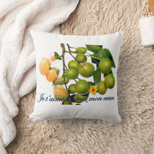 La quenette  クッション (ブランケット)