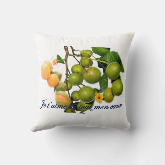 La quenette クッション (裏面)