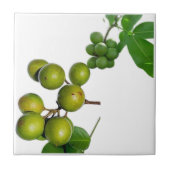 La quenette  タイル (正面)