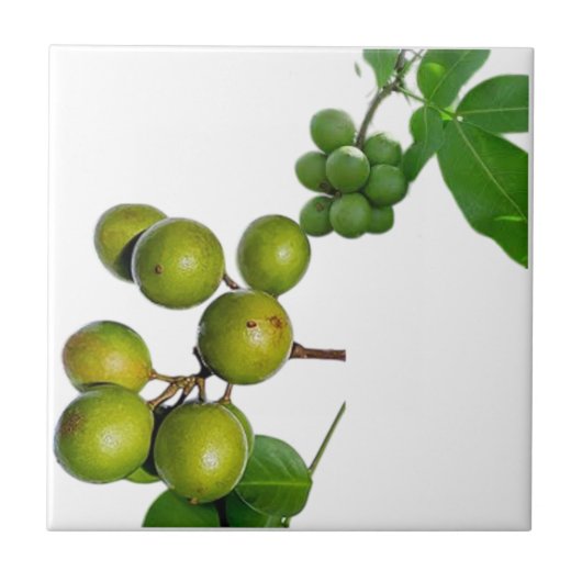 La quenette  タイル (正面)