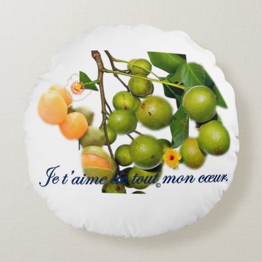 La quenette  ラウンドクッション (正面)