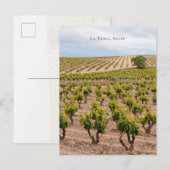 La Rioja, Spain Vineyard Landscape ポストカード (正面/裏面)