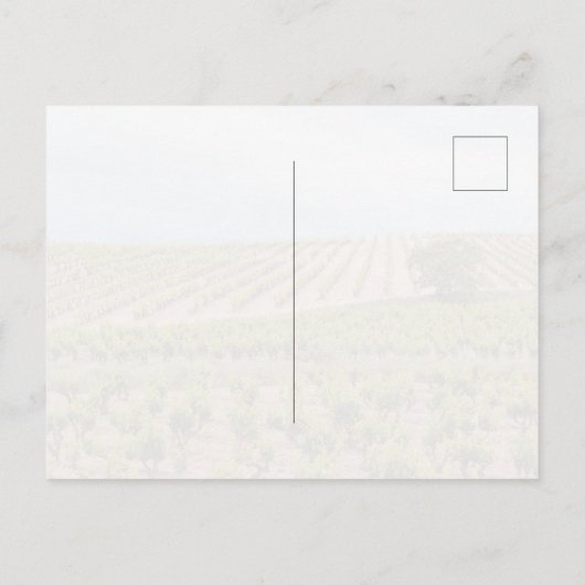 La Rioja, Spain Vineyard Landscape ポストカード (裏面)