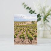 La Rioja, Spain Vineyard Landscape ポストカード (スタンド正面)