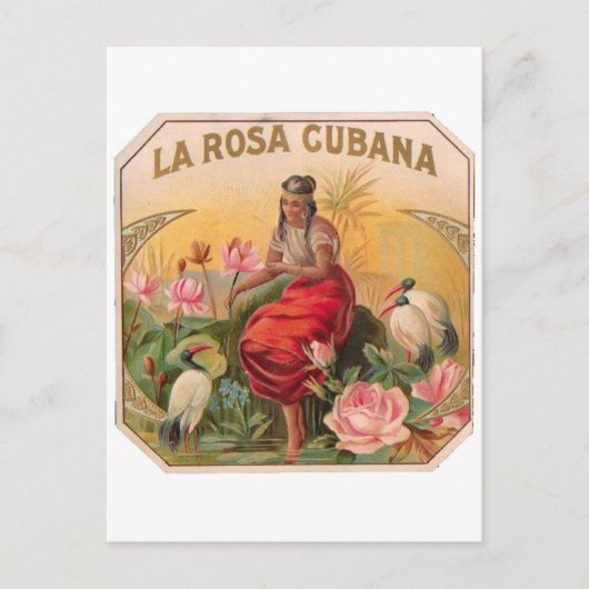 La Rosa Cubana Diseño Vintage Cuba ポストカード (正面)