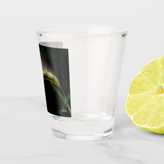 La rosée ショットグラス (右)