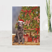 Lab – クリスマスツリーの下のチョコレートの水色 カード (正面)