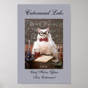 Lab Cat CFOまおもしろいたはChief Feline Officer写真 ポスター