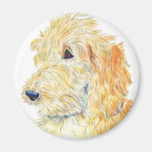 Labradoodleのクリーム色の磁石 マグネット