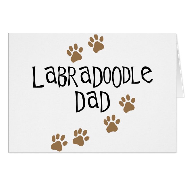Labradoodleのパパ (正面横)