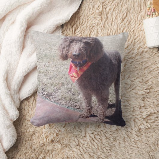 labradoodleの枕 クッション (ブランケット)