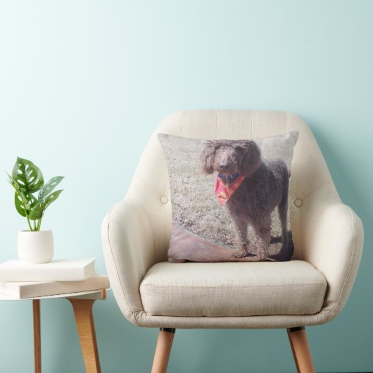 labradoodleの枕 クッション (椅子)