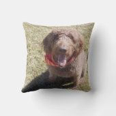 labradoodleの枕 クッション (裏面)