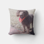 labradoodleの枕 クッション (正面)