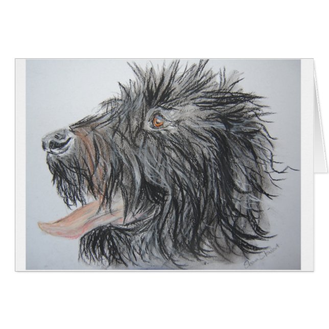 Labradoodle (正面横)