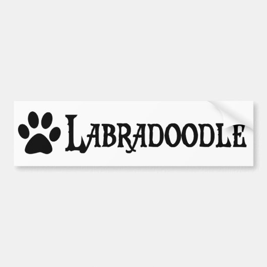Labradoodle (pawprintとの海賊スタイル) バンパーステッカー (正面)