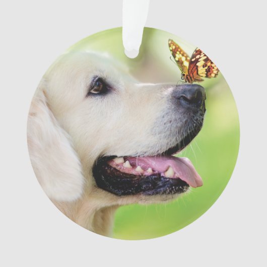 Labrador And Butterfly Throw Pillow オーナメント (正面)
