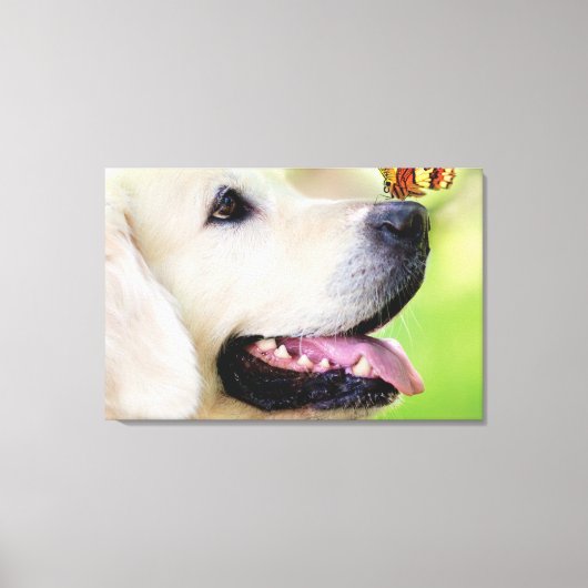 Labrador And Butterfly Throw Pillow キャンバスプリント (正面)