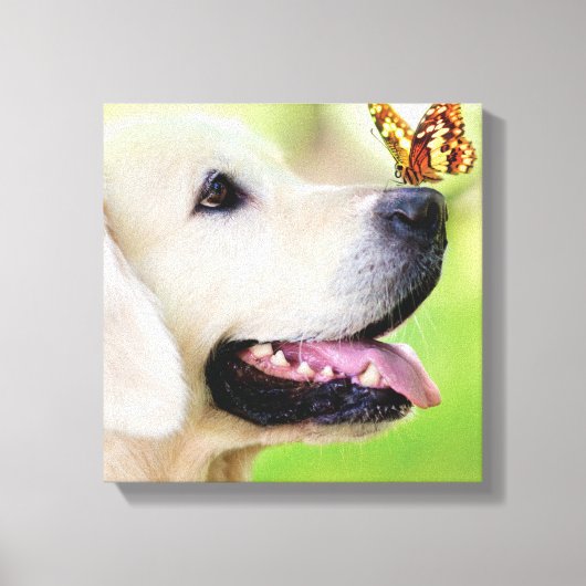 Labrador And Butterfly Throw Pillow キャンバスプリント (正面)