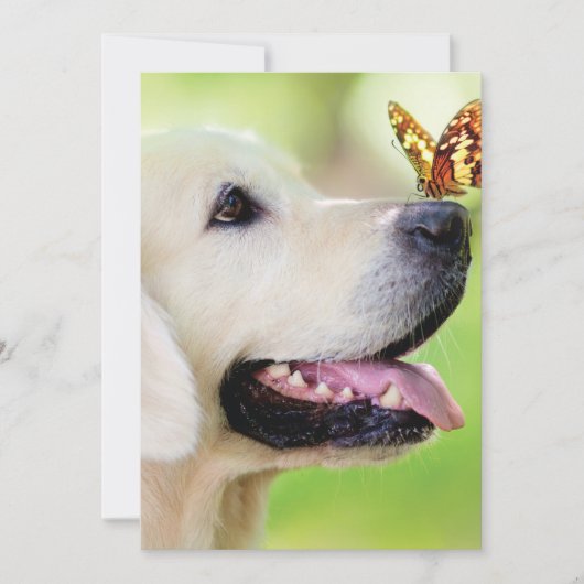 Labrador And Butterfly Throw Pillow サンキューカード (正面)
