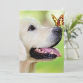 Labrador And Butterfly Throw Pillow サンキューカード (スタンド正面)