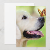Labrador And Butterfly Throw Pillow サンキューカード (正面/裏面)