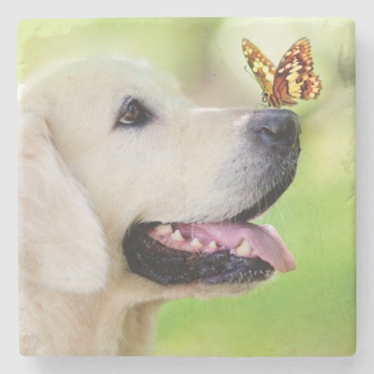 Labrador And Butterfly Throw Pillow ストーンコースター (正面)