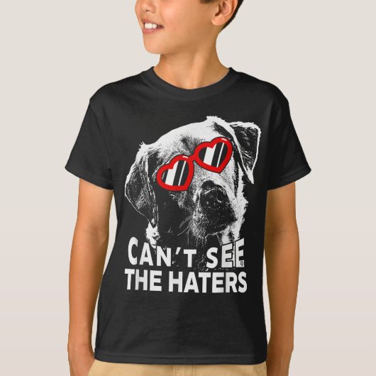 Labrador Cant See The Haters Funny Dog Lovers Men  Tシャツ (正面)