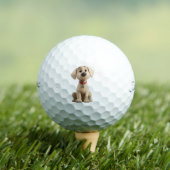 Labrador Golf Balls ゴルフボール (インサイチュ 木)