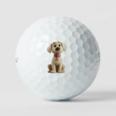 Labrador Golf Balls ゴルフボール (正面)