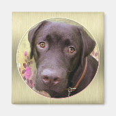 Labrador Magnet マグネット (正面)