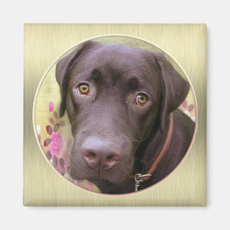 Labrador Magnet マグネット