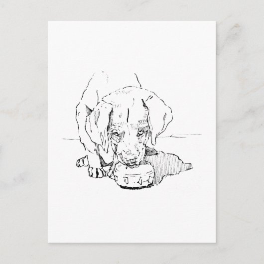 Labrador Puppy Postcard for Dog Lover ポストカード (正面)