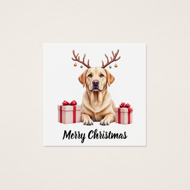 Labrador Reindeer (正面)