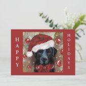 Labrador Retriever  シーズンカード (スタンド正面)