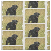 labrador-retriever-25.jpg ファブリック (見本)