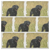 labrador-retriever-25.jpg ファブリック (見本)