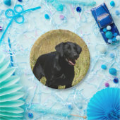 labrador-retriever-25.jpg ペーパープレート (パーティー)