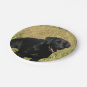 labrador-retriever-25.jpg ペーパープレート (アングル)