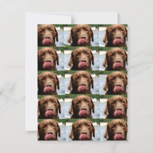 Labrador Retriever Chocolate Tiles BG ノートカード (正面)