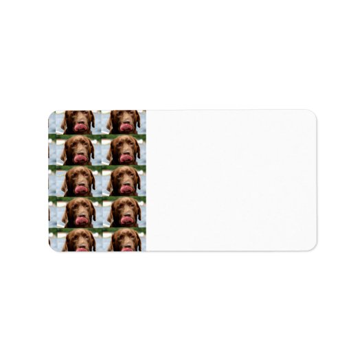 Labrador Retriever Chocolate Tiles BG ラベル (正面)