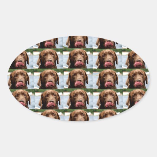 Labrador Retriever Chocolate Tiles BG 楕円形シール (正面)