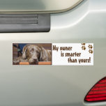 Labrador Retriever Dog Photo Funny Template バンパーステッカー<br><div class="desc">Share your dog's thoughts with a bumper sticker of a close-up photograph on the head of a lying down chocolate Labrador Retriever. Replace the placeholder photo with your horizontal photo or leave it as you see it. Customize the template text with your message.</div>