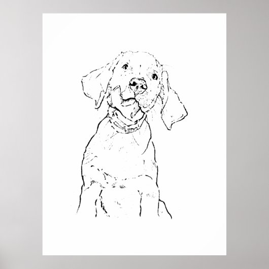 Labrador Retriever Dog Postcard ポスター (正面)