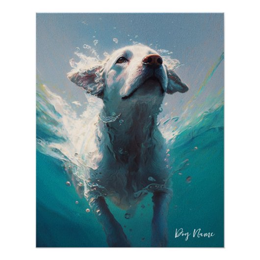 Labrador Retriever dog swimming in water 004 ポスター (正面)