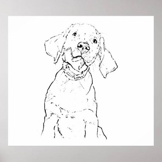 Labrador Retriever Dog Wall Art, Poster Drawing ポスター (正面)