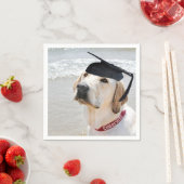 Labrador Retriever Graduate With Cap スタンダードカクテルナプキン (インサイチュ)