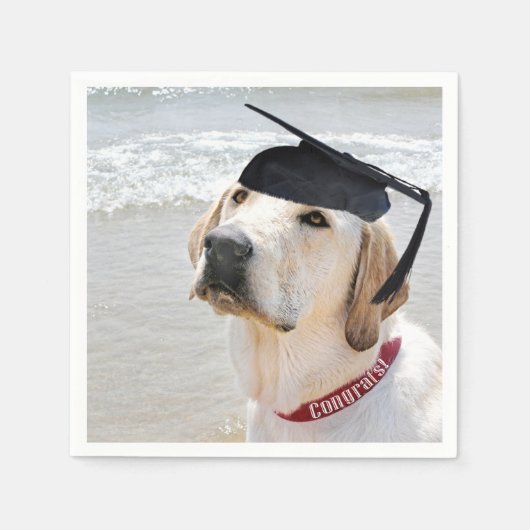 Labrador Retriever Graduate With Cap スタンダードカクテルナプキン (正面)