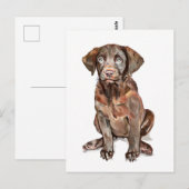 Labrador Retriever Greeting Card ポストカード (正面/裏面)