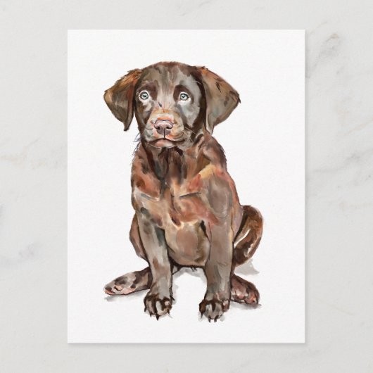 Labrador Retriever Greeting Card ポストカード (正面)